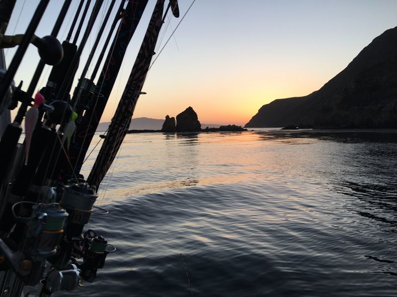 FFO Embroidered Dad Hat